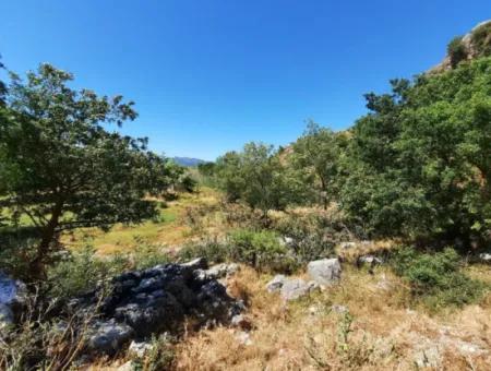 Muğla Ortaca Dalyanda Kanala Sıfır 6 500 M2 Hisseli Tapulu Arazi Satılık