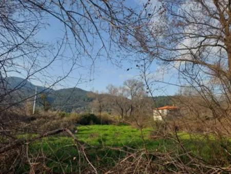 Köyceğiz Çandırda Göle Yakın 2585 M2 Müstakil Arazi Satılık