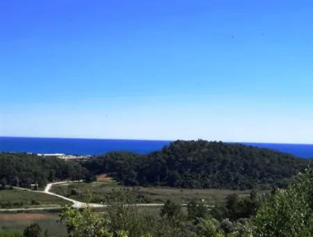 Mugla Sarıgermede Deniz Manzaralı 400 M2 İmarlı Arsa Satılık Veya Takas