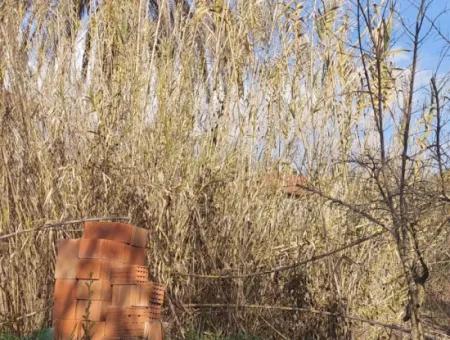 Köyceğizde Göle Yakın 850 M2, 25/50  Konut İmarlı Arsa Satılık