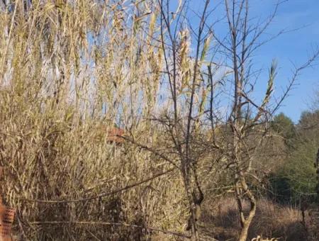 Köyceğizde Göle Yakın 850 M2, 25/50  Konut İmarlı Arsa Satılık