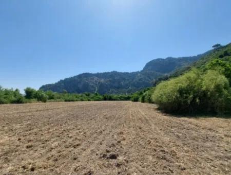 Muğla Marmarlıda 7.750 M2 İmar Planı İçinde Yatırıma Uygun Kelepir Arsa  Satılık