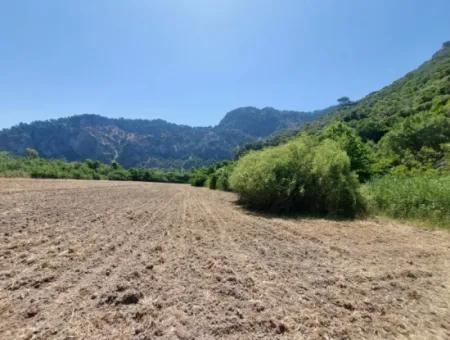 Muğla Marmarlıda 7.750 M2 İmar Planı İçinde Yatırıma Uygun Kelepir Arsa  Satılık