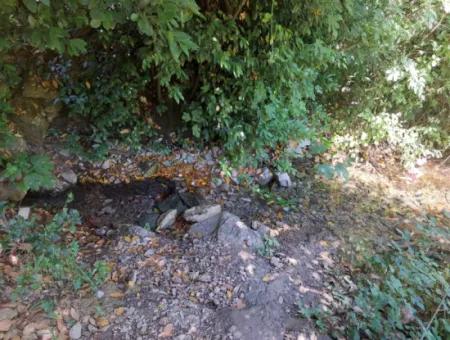 Muğla Marmarlıda 7.750 M2 İmar Planı İçinde Yatırıma Uygun Kelepir Arsa  Satılık