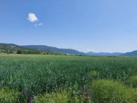 Çameli Bıçakçıda Satılık Kelepir Arazi  5,333 M2 Müstakil Tapulu Satılık