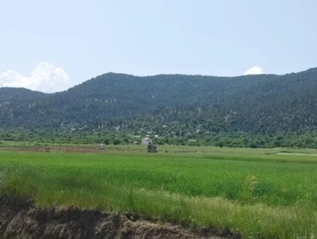 Çameli Bıçakçıda Satılık Kelepir Arazi  5,333 M2 Müstakil Tapulu Satılık