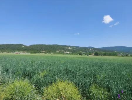 Çameli Bıçakçıda Satılık Kelepir Arazi  5,333 M2 Müstakil Tapulu Satılık