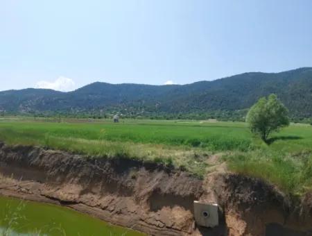 Çameli Bıçakçıda Satılık Kelepir Arazi  5,333 M2 Müstakil Tapulu Satılık