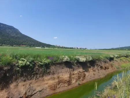 Çameli Bıçakçıda Satılık Kelepir Arazi  5,333 M2 Müstakil Tapulu Satılık