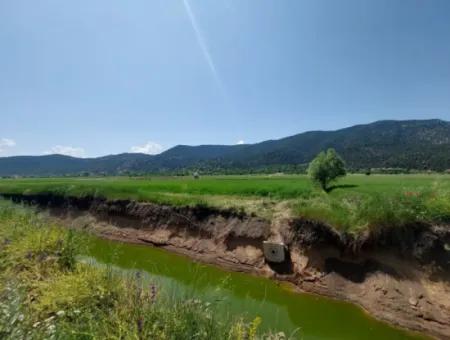 Çameli Bıçakçıda Satılık Kelepir Arazi  5,333 M2 Müstakil Tapulu Satılık