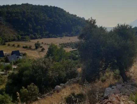 Antalya Kaş Kalkan İslamlarda Satılık 12 300 M2 Yatırıma Uygun Arazi
