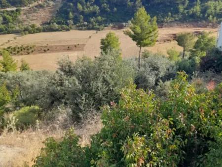 Antalya Kaş Kalkan İslamlarda Satılık 12 300 M2 Yatırıma Uygun Arazi