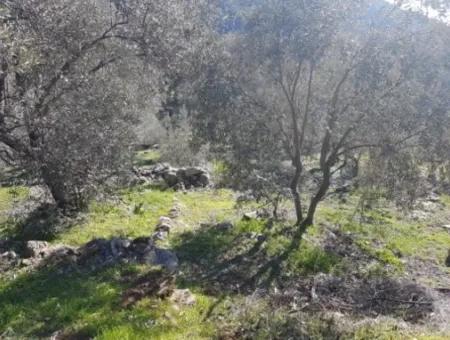 Göcek Gökçeovacıkta Satılık Deniz Manzaralı Arazi