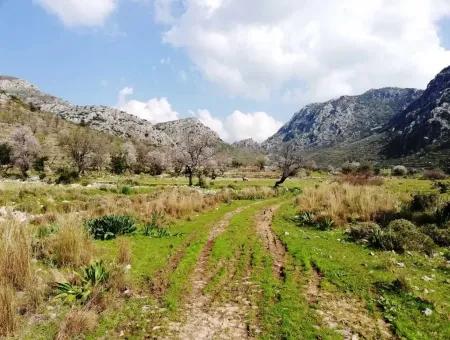 Marmaris Bozburunda Satılık Yatırıma Uygun Tarla