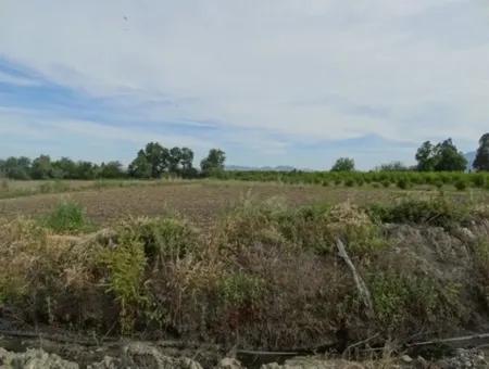 Köyceğiz Toparlar Da 31,175 M2 Satılık Yatırıma Uygun Arazi