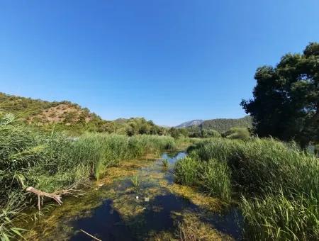 Göcek İnlice De Satılık Bağ Bahçe İmarlı Arazi